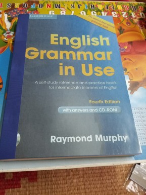 english grammar in use